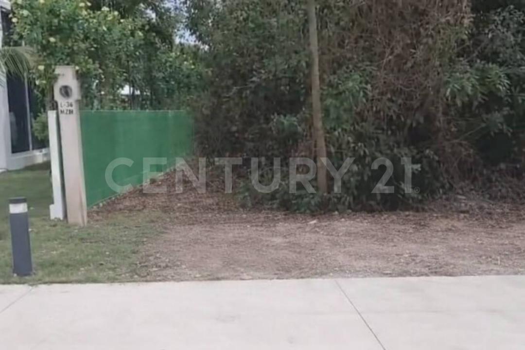 Estrella de Mar 34,, Solidaridad / Riviera Maya, Quintana Roo 77735, Mexico