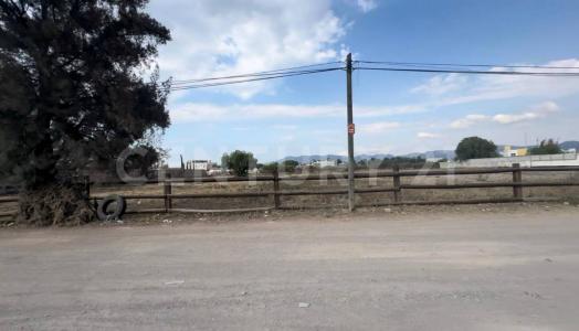 Actopan, Hidalgo 42506, Mexique