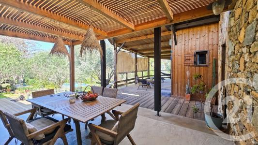 Barbaggio, Corse 20253, France