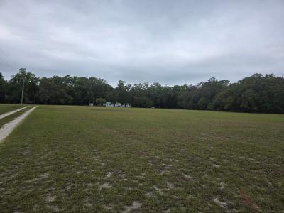 626 NE 816th Ave , Old Town, Florida 32680, USA