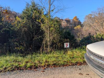 00 Long Beard Lane, Tazewell, Tennessee 37879, USA