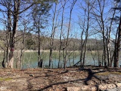 434 E Lakeshore Drive, Burnside, Kentucky 42519, Stati Uniti