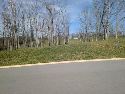 Lot 245 Ridgeline Court , Morristown, Tennessee 37814, USA