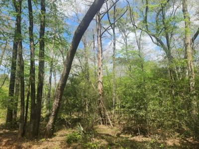 TBD Baker Bridge Road, Marshall, Texas 75672, Stati Uniti