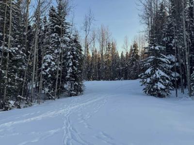 LOT 2 RANGE ROAD 180, Rural Yellowhead County, Alberta T7E 3M2, Kanada