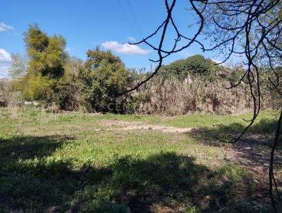 Santarem, Santarem 2005-111, Portugal