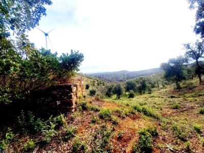 Almodôvar, Beja 7700-205, Portugal