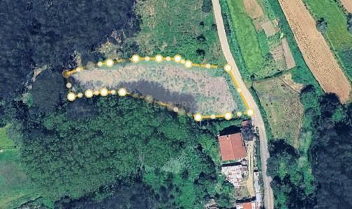 Albergaria A Velha, Aveiro 3850-486, Portugal