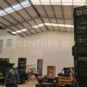 Monterrey, Nuevo León 64380, Mexico