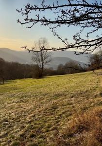 Děčín, Děčín 100 00, 捷克共和国