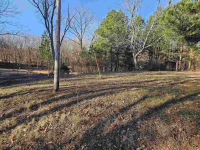 19549 N Moonbeam Lane, Mt Vernon, Illinois 62864, États-Unis