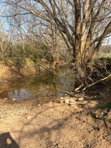 603 State Hwy 1003, Somerset, Kentucky 42501, États-Unis