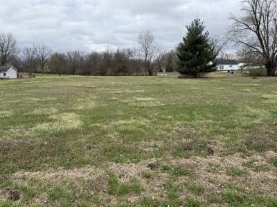 TBD Lot 37, Wilsonville, Illinois 62093, USA