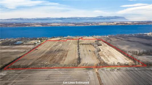 00 Deal Road, Romulus, ניו יורק 14541, ארצות הברית של אמריקה 