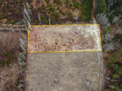 7306 Bellaire Dr., Nichols, 南卡罗来纳州 29581, 美国