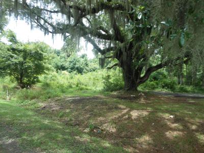 8046 Cedar Hall Road, Edisto Island, SC 29438, USA