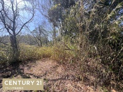 長尾町宅原, 神戸市北区, 兵库县 651-1511, 日本