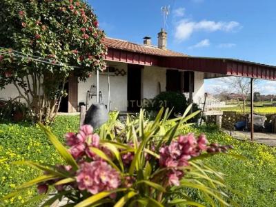 Vagos, Aveiro 3840-302, Portogallo