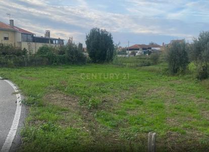 Anadia, Aveiro 3780-001, Portugal