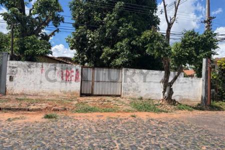 cacique caracara esquina incienso , San Pablo, Asunción 00001, Paraguay