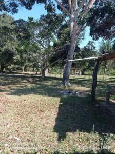 Cercado, Beni 00001, 玻利維亞