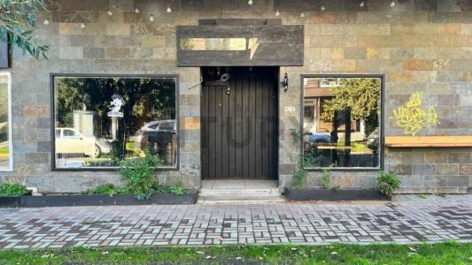 Cautín, Región De La Araucanía 00001, 智利