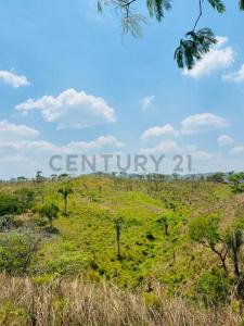 Tinaquillo, Cojedes 00001, Venezuela