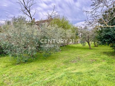 Umag, Umag, Istarska Županija 52470, Chorwacja