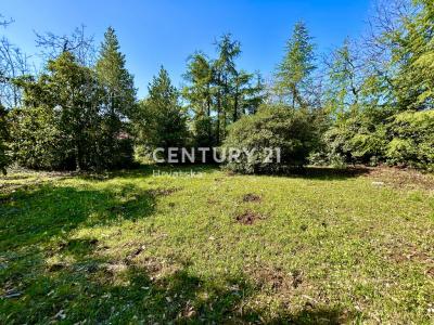 Umag, Umag, Istarska Županija 52470, Croácia