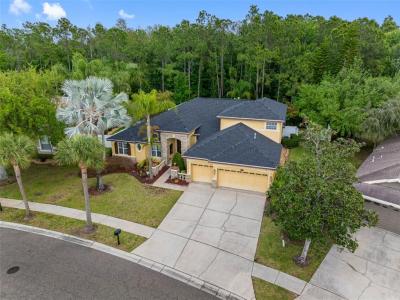 16750 Ivy Lake Drive, Odessa, Florida 33556, USA