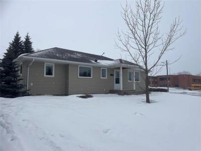 1108 HILL STREET, Birtle, Манитоба R0M 0C0, Канада