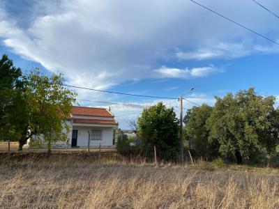 Montemor O Novo, Evora 7050-000, Portugal