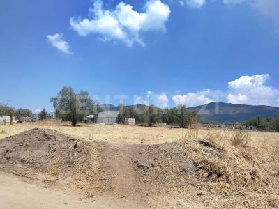 Tlacuilolpan S/N,, Tepetlaoxtoc, État De Mexico 56070, Mexique