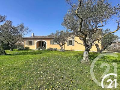 Cavaillon, Provence-Alpes-Côte D'Azur 84300, Frankreich