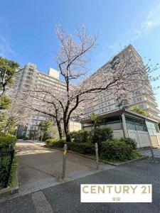 日下町４丁目, マンハイムグラン石切第二期, 東大阪市, אוסקה 579-8003, יפן