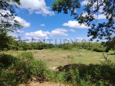 Pirayui, San Bernardino , San Bernardino, Cordillera 00001, Paraguay