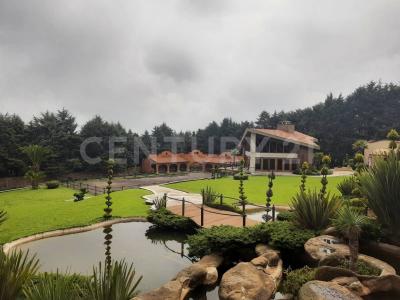 Tlalpan, Ciudad De México 14700, Mexique