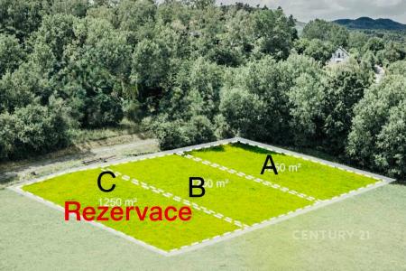 Bělá Pod Bezdězem, Mladá Boleslav 100 00, Repubblica Ceca