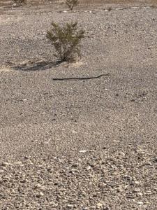 4070 Tierra Vista Drive, Yucca, Arizona 86438, USA