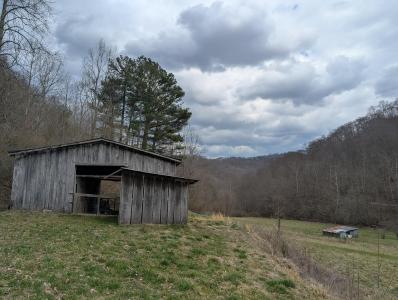 456 Arnetts Fork Road, Big Creek, Kentucky 40914, USA