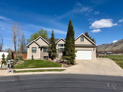 202 S 375 W #5, Providence, Utah 84322, USA