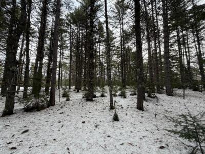 Parcel 18 Camp Nokomis Rd, Mercer, Wisconsin 54547, Estados Unidos