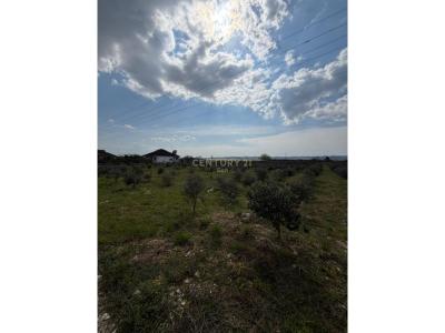 Kavajë, Kavajë, Albania