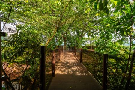  , Barú Barú Pérez Zeledón, San José 00001, Kostaryka