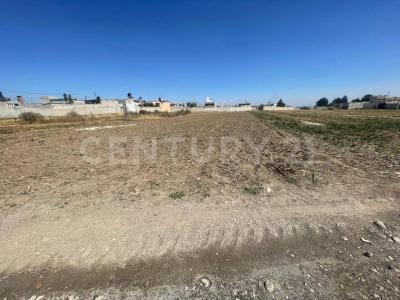 Morelos S/N,, Zinacantepec, Estado De México 51370, México