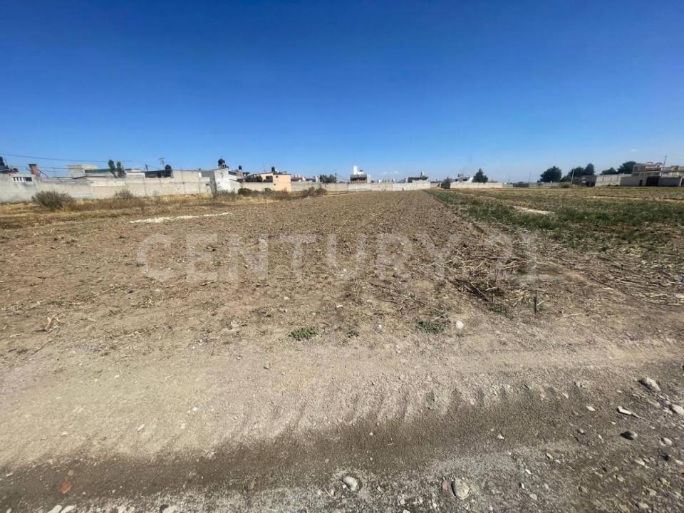 Morelos S/N,, Zinacantepec, Estado De México 51370, México