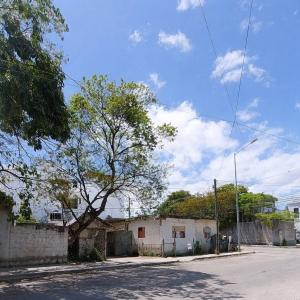 45 Av. Nte Mza 29 Lt 14. entre 56y 54 Nte. 14,, Solidaridad / Riviera Maya, Quintana Roo 77728, Mexico