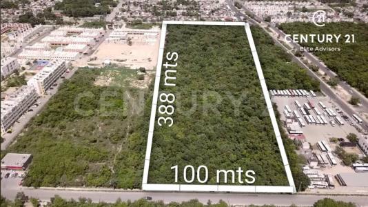 Cancún/Benito Juárez, Quintana Roo 77518, Mexico