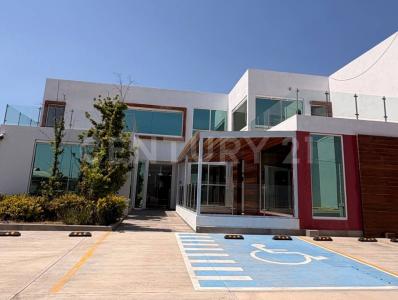 Silao, Guanajuato 36100, Mexico