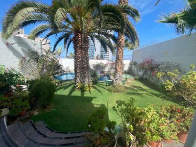 Iquique, Tarapacá 00001, 智利